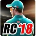 real-cricket-18