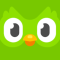 duolingo apk